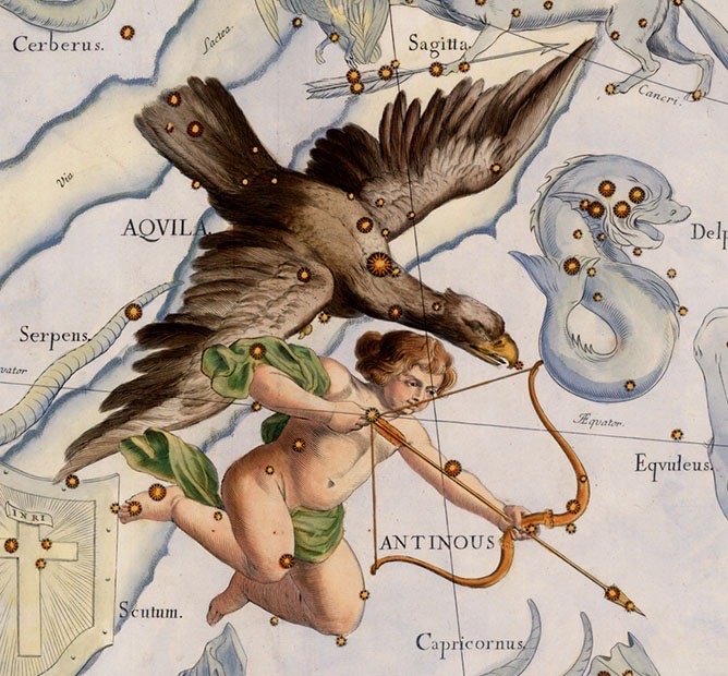 Samantha N.'s profile image