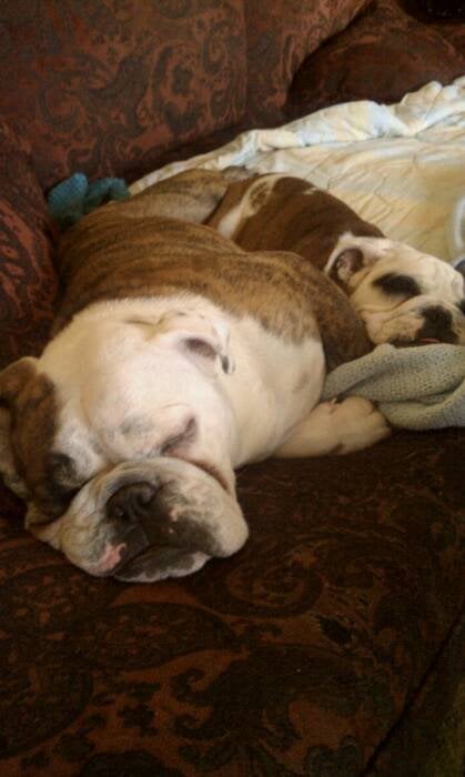 Erin M.'s profile image