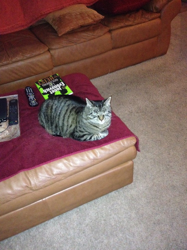 Randi K.'s profile image