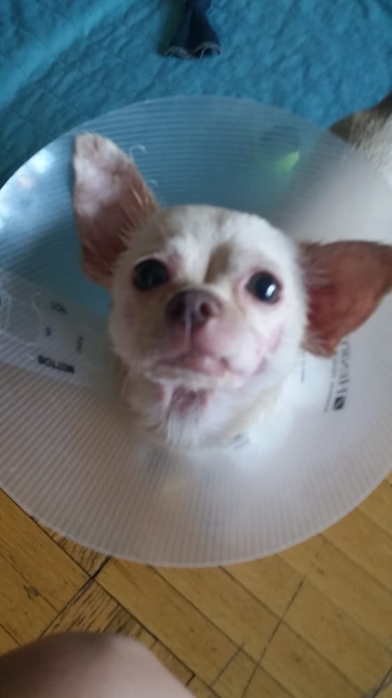 Holly S.'s profile image