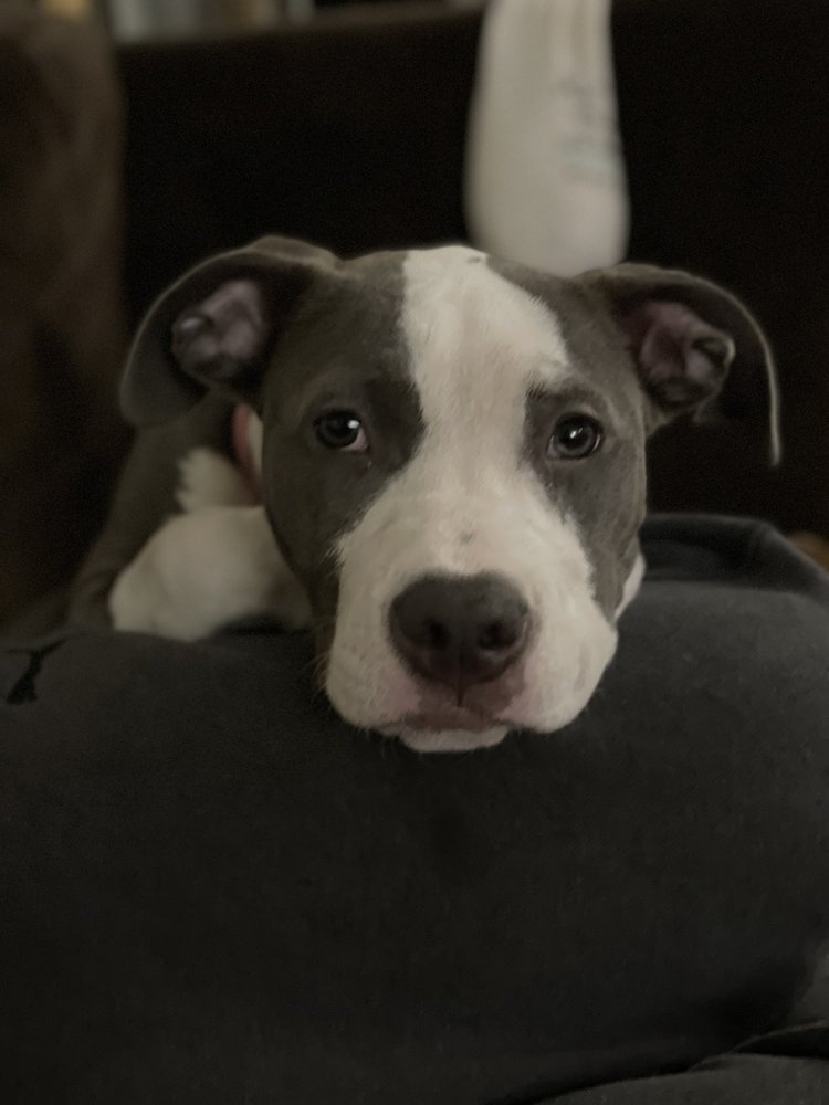 Madison G.'s profile image