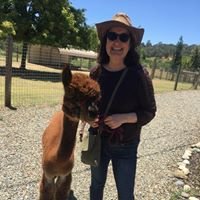 Cindy F.'s profile image