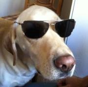 Bob N.'s profile image