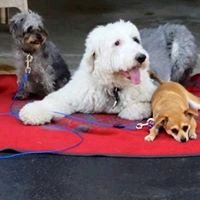 Charlee A.'s profile image