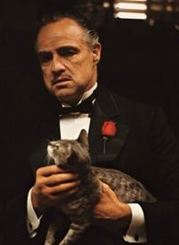 John P.'s profile image