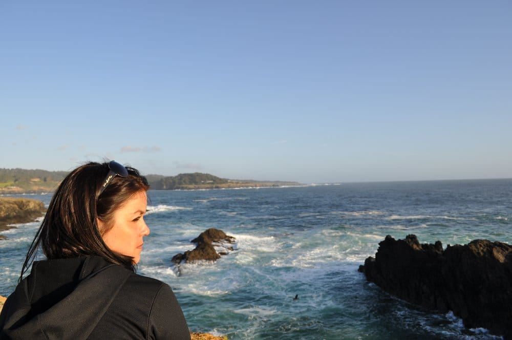 Tara L.'s profile image