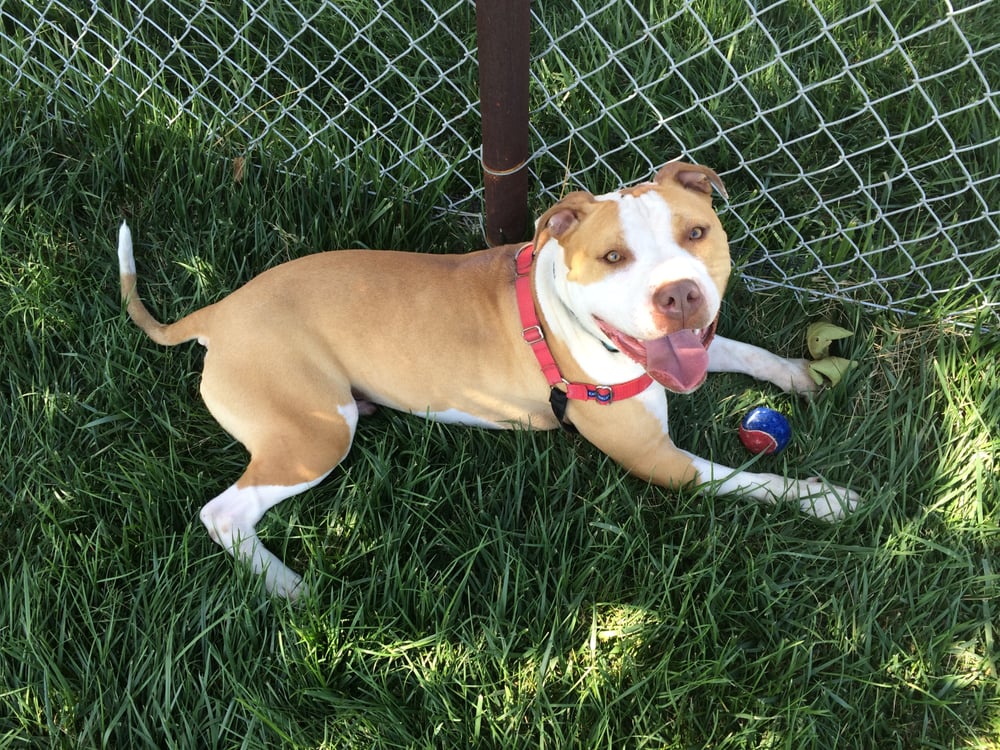 Loraine Lori S.'s profile image