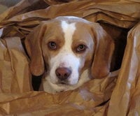 Carin M.'s profile image