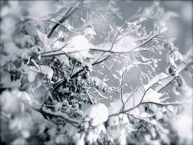 Brittany C.'s profile image