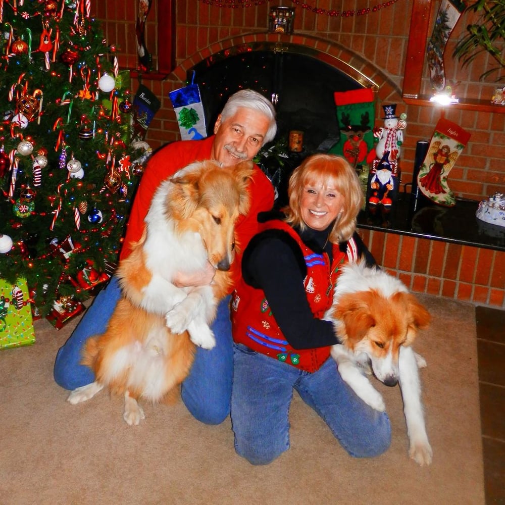 Amy M.'s profile image