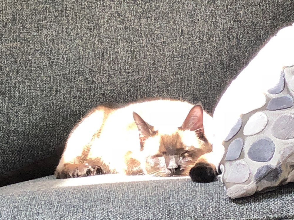 J M.'s profile image