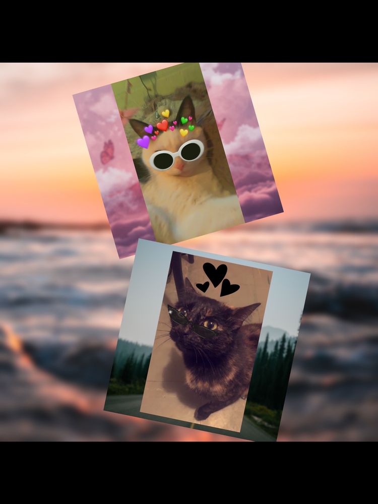 Emily B.'s profile image