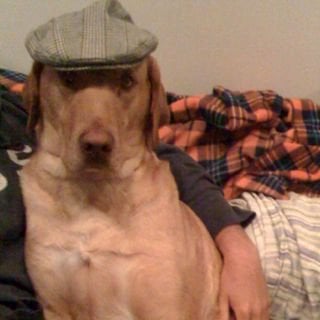 Ryan K.'s profile image
