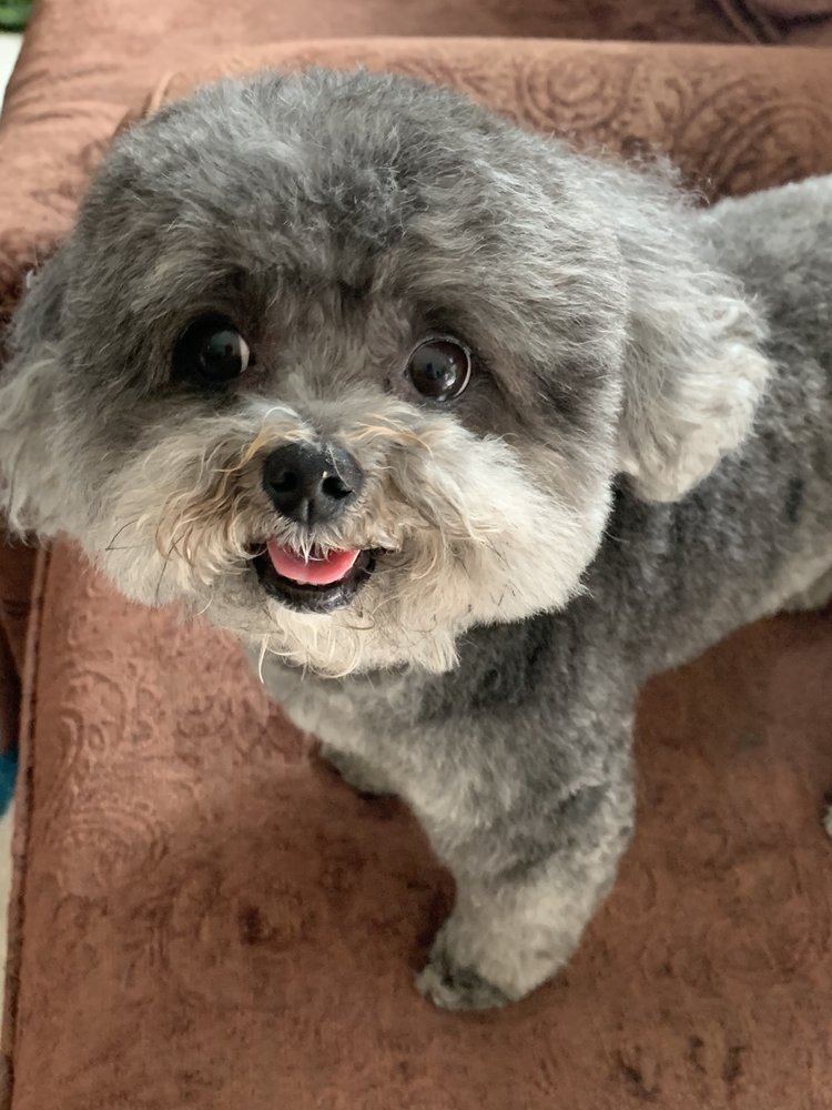 Lisa S.'s profile image