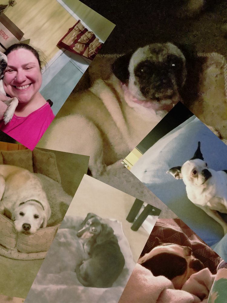 Brandie P.'s profile image