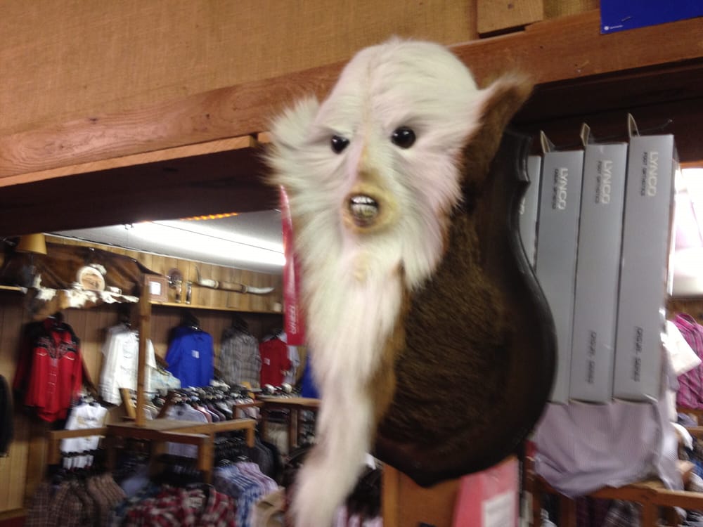 Joe B.'s profile image