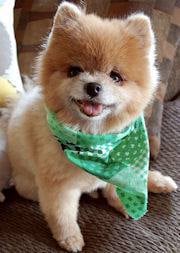 Yolanda L.'s profile image