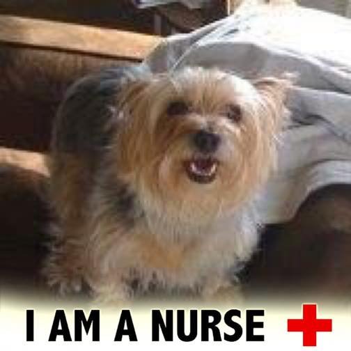 Marilyn J.'s profile image