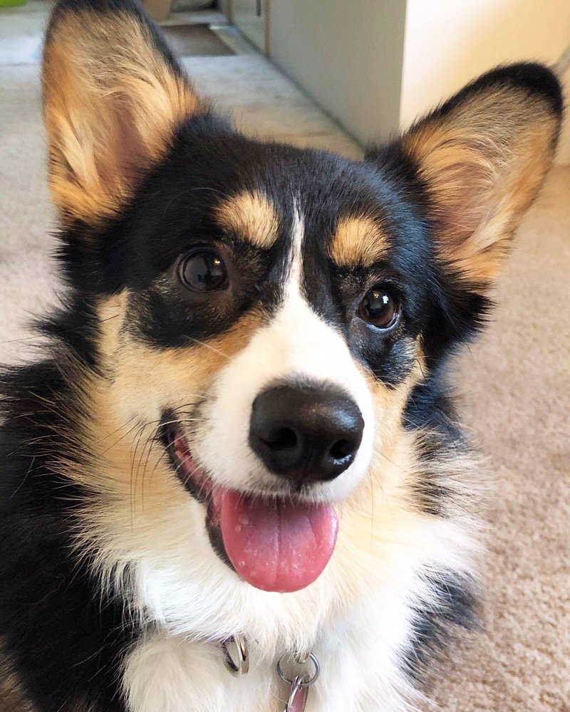 Amy N.'s profile image