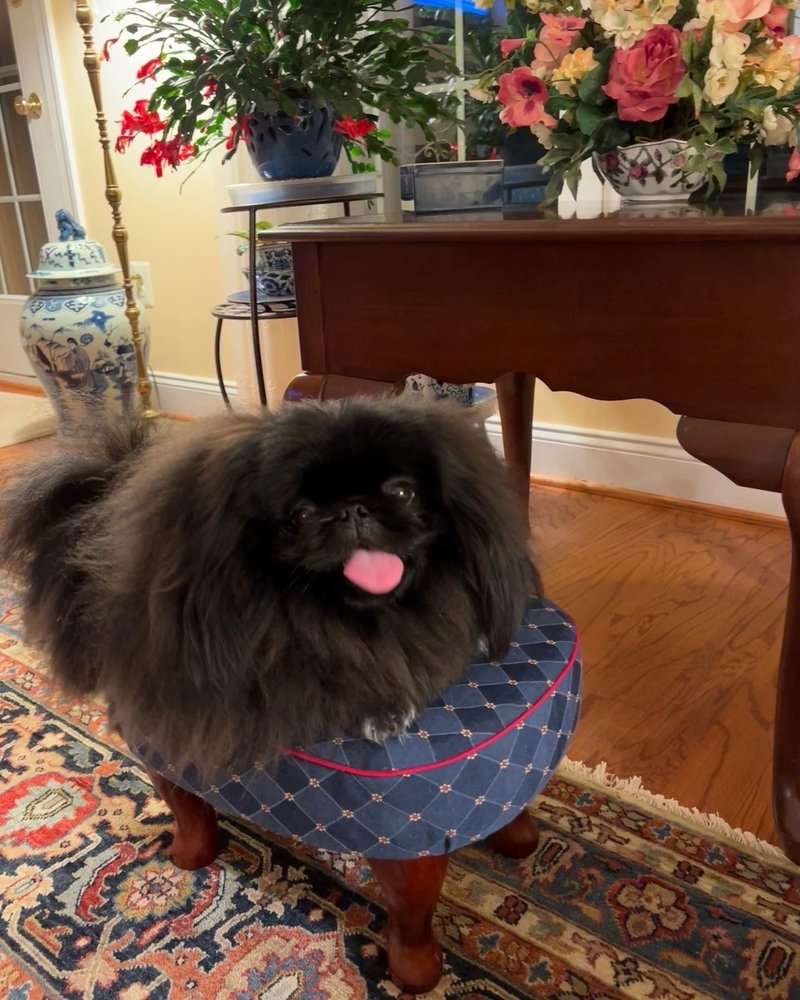 Rose H.'s profile image