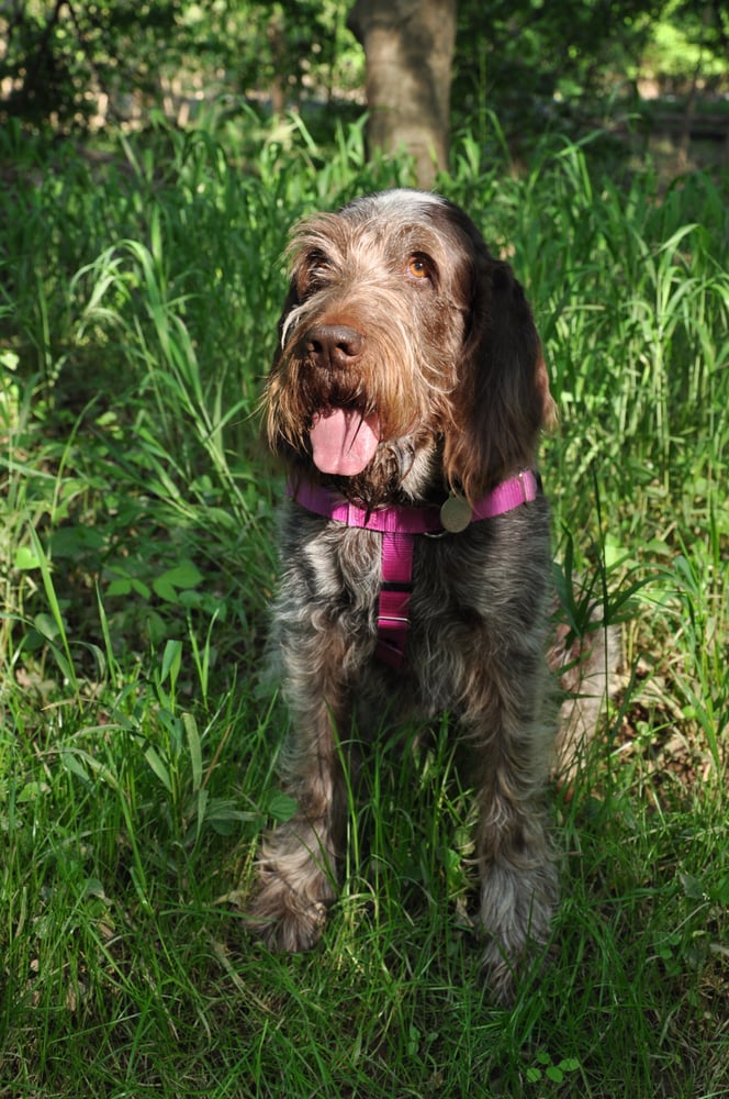 Patti C.'s profile image