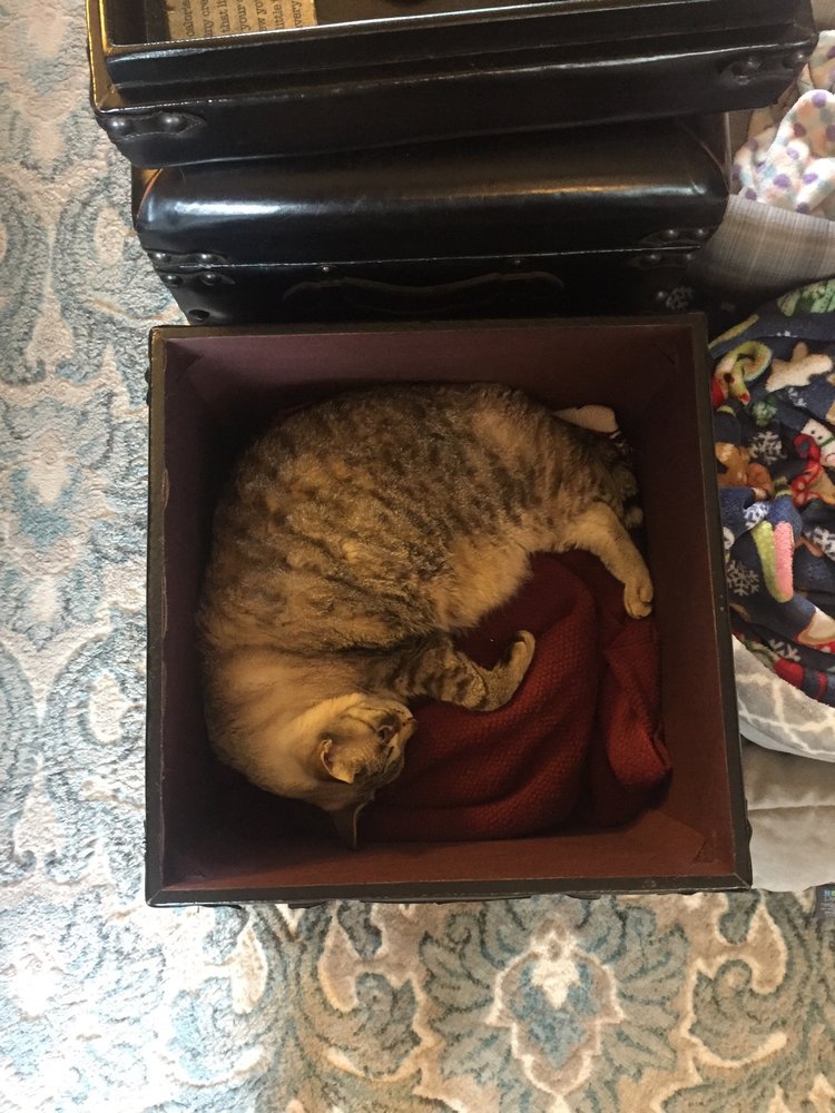 Madeline H.'s profile image