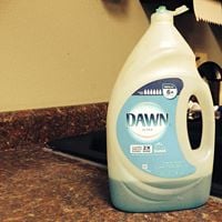 Dawn W.'s profile image