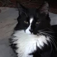 Antoinette D.'s profile image