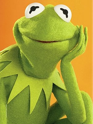 Sandi C.'s profile image
