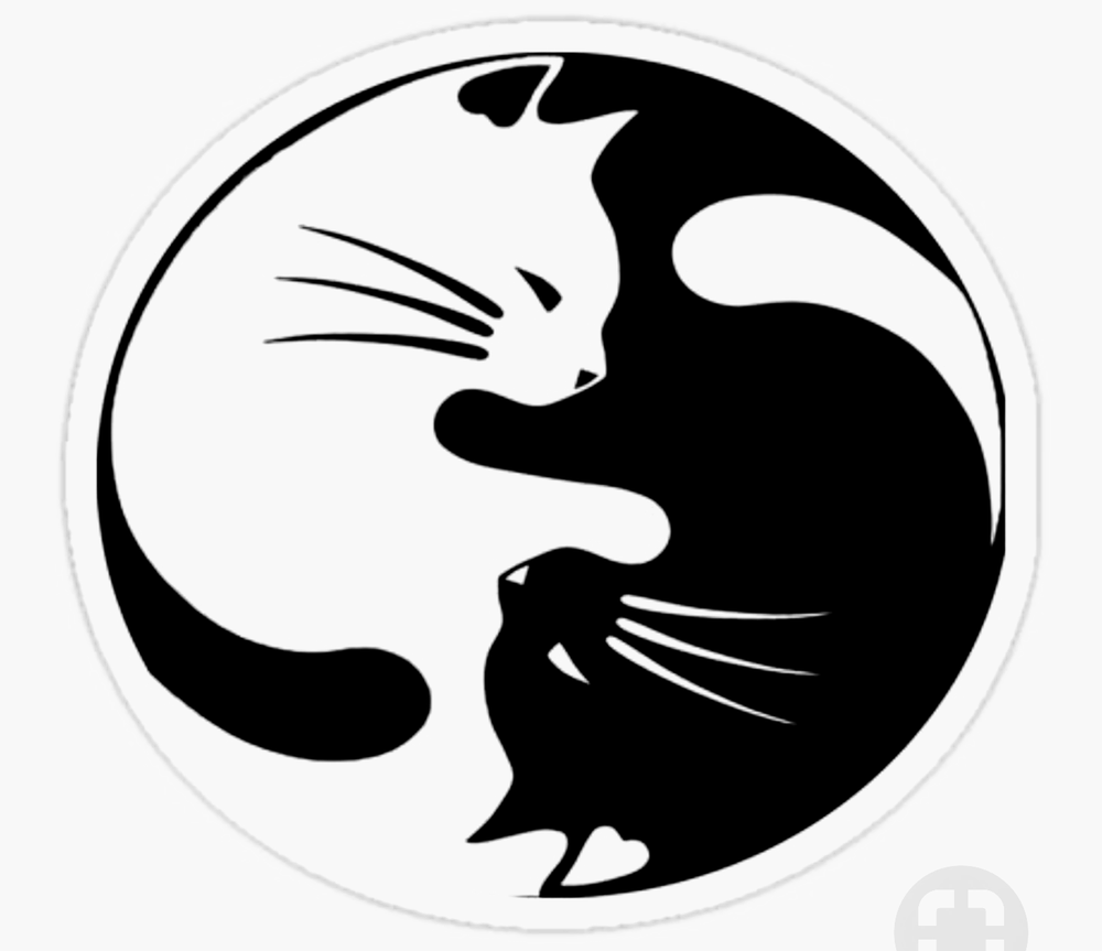 Kris R.'s profile image