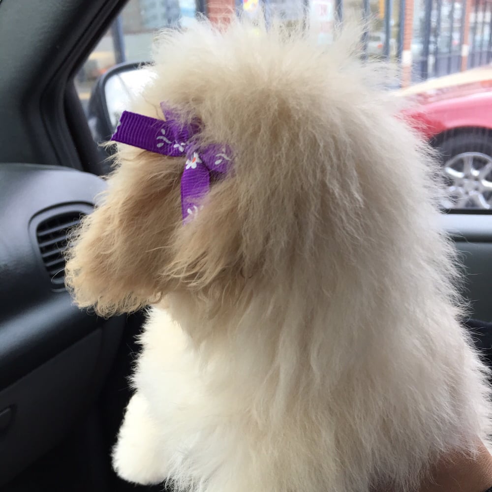 Eva R.'s profile image