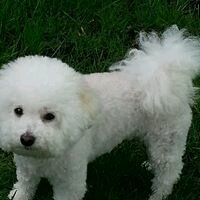 Charlotte O.'s profile image