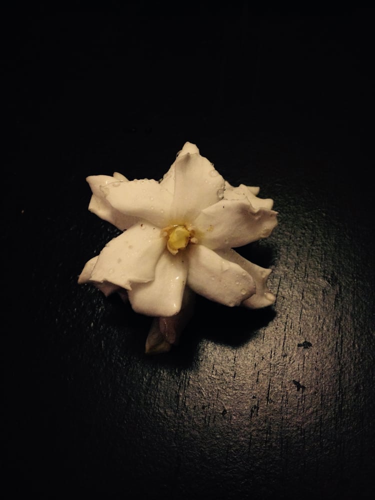 Kris T.'s profile image