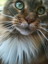 Sandy C.'s profile image