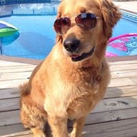 Nancy S.'s profile image