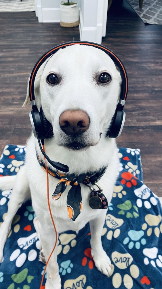 Alexis B.'s profile image