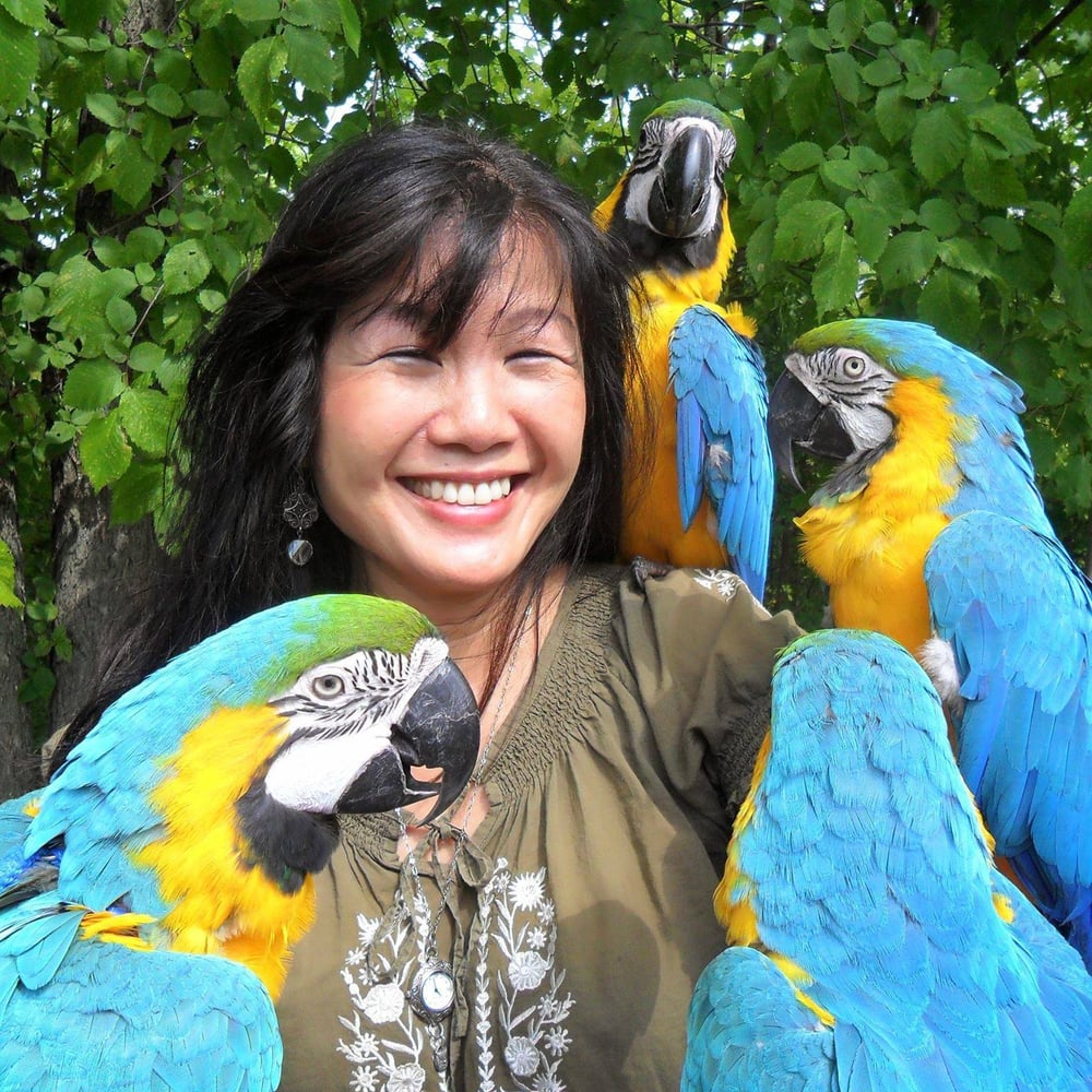 Pauline L.'s profile image