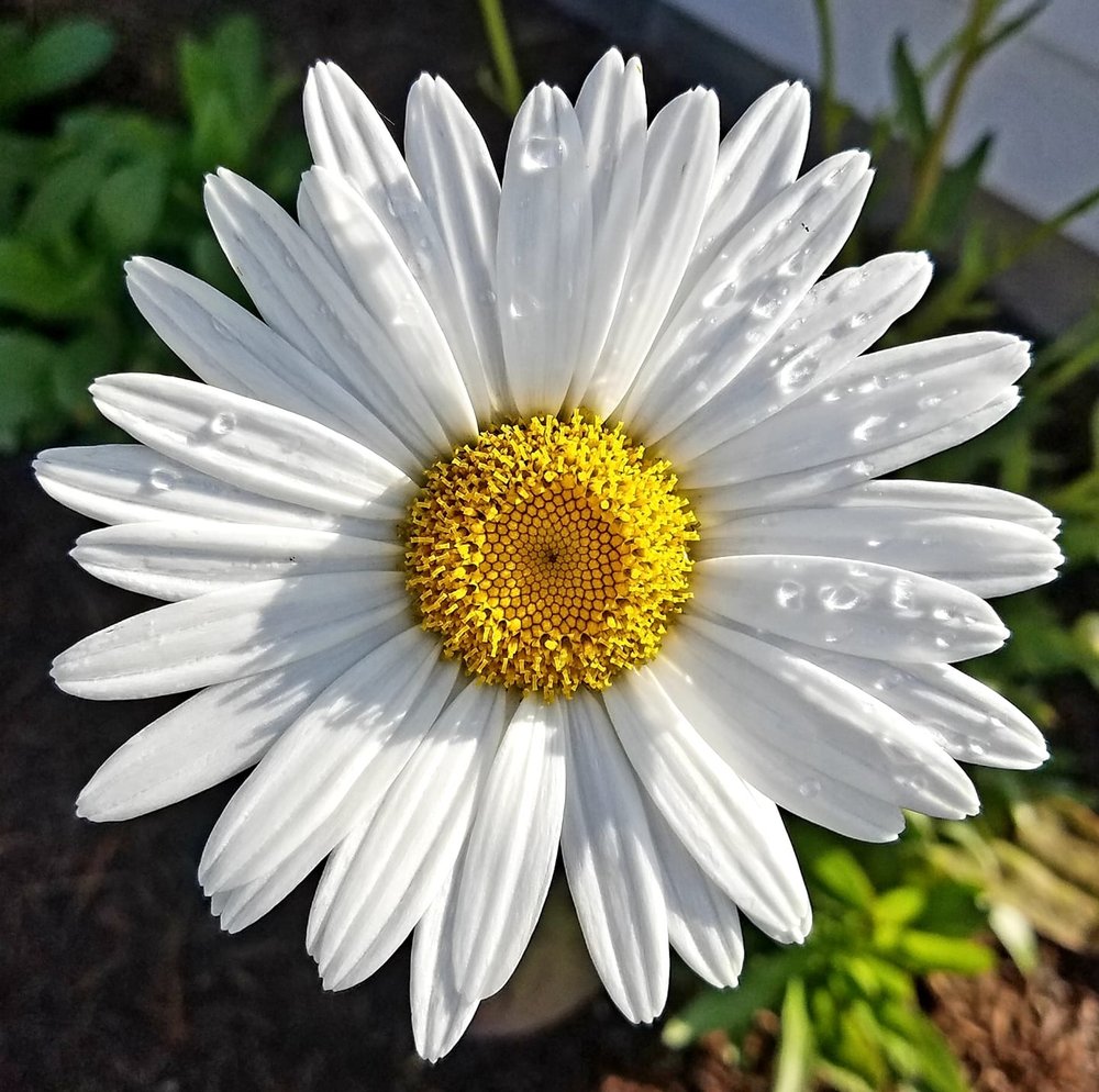 April P.'s profile image