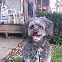 Karen T.'s profile image