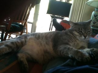 Joe R.'s profile image