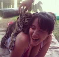 Taylor F.'s profile image