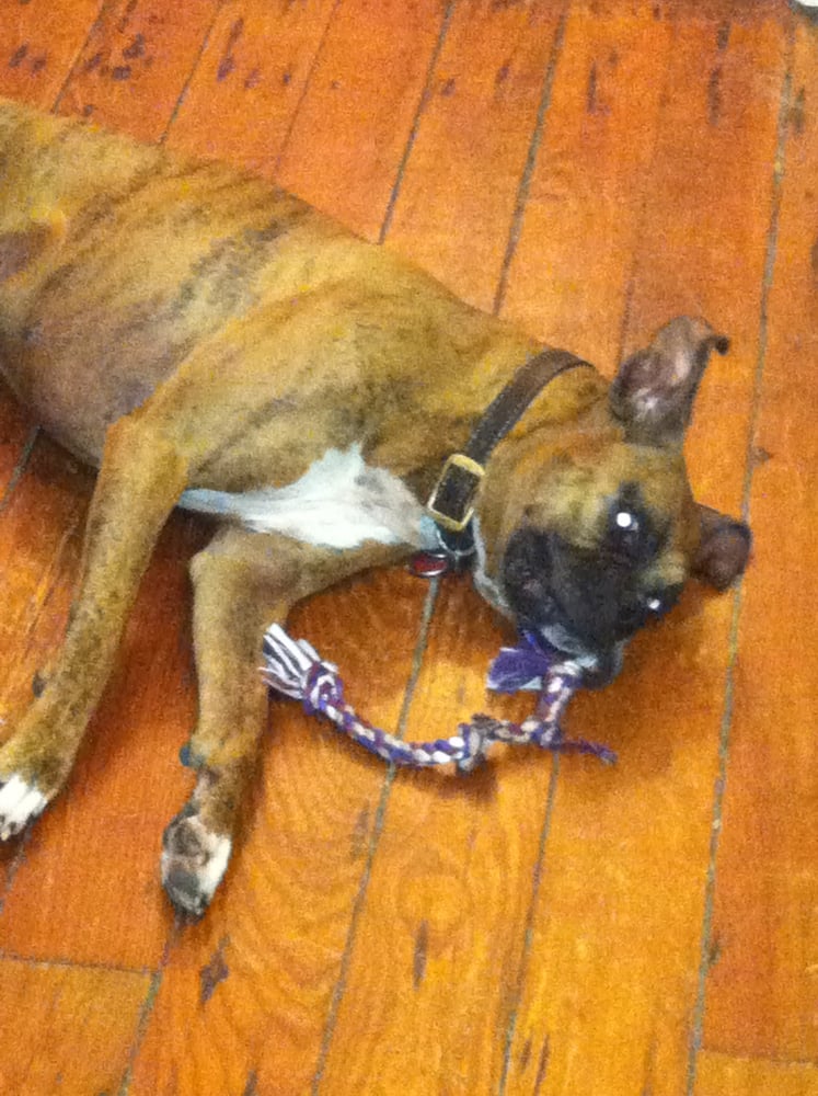 Colette H.'s profile image