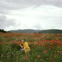 Anastasia Dobretsova's profile image