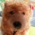 Laura McDonald's Profile Image
