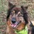 Lola Horncastle's profile image