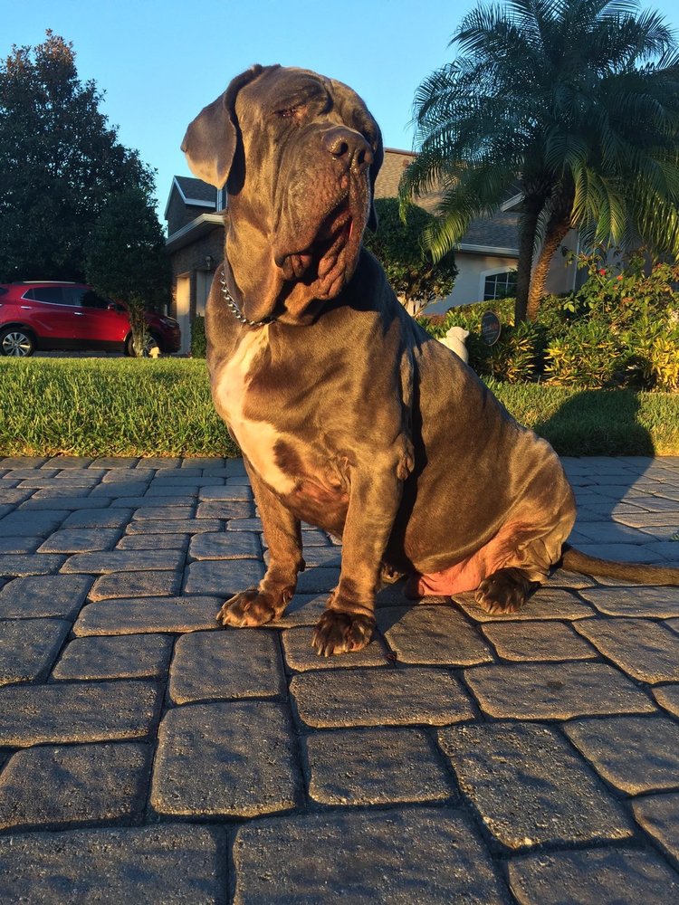 Butch N.'s profile image