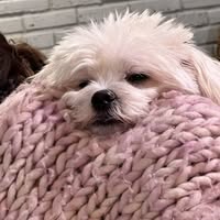 Kelly Bena Moore's profile image