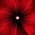 Jerry Murphy's profile image
