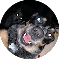Julie Netser's Profile Image