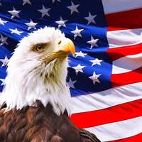 Kevin T Williams's profile image